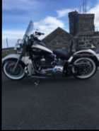 2013 Harley Davidson Softail Deluxe - Photo 2 of 3