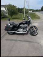 2014 Harley Sporster - Photo 1 of 5
