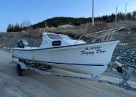 2015 19ft Sea Breeze fibreglass boat 