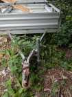 2015 Stirling galvanised trailer good shape - Photo 1 of 4