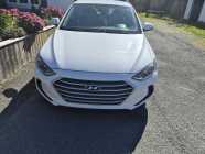 For Sale
