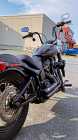 2019 Harley Street Bob