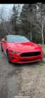 2021 mustang gt 