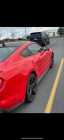 2021 mustang gt  - Photo 1 of 2