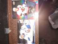 2024 2025 upper Deck Boston Bruins cards - Photo 2 of 4