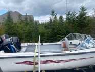 20ft Sea Serpent boat, motor and trailer - Photo 2 of 9