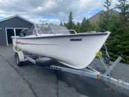 20ft Sea Serpent boat, motor and trailer - Photo 3 of 9