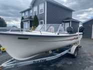 20ft Sea Serpent boat, motor and trailer - Photo 4 of 9