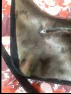 $250 FIRM::::Newfoundland Seal Skin Handbag  - Photo 1 of 4
