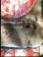 $250 FIRM::::Newfoundland Seal Skin Handbag  - Photo 2 of 4