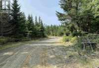 254 Acres - Beech Hill, Nova Scotia - Photo 1 of 7