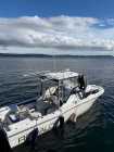 26' Boat Twin F200 Yamaha - Photo 1 of 4