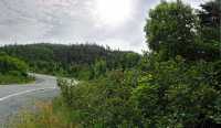 3 1/2 Acre Lots on a 13 Acre Nature Reserve - Photo 1 of 2