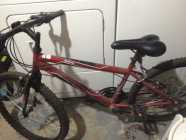 3 BICYCLES LIKE NEW  - Photo 5 of 6