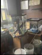 4 Fish Tanks $160 ono. Sold individually too 