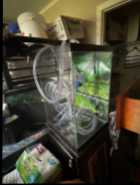4 Fish Tanks $160 ono. Sold individually too  - Photo 1 of 4