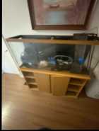 4 Fish Tanks $160 ono. Sold individually too  - Photo 3 of 4