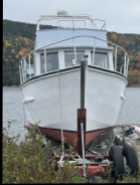 42 Ft Pleasure Cabin Cruiser - Photo 9 of 10