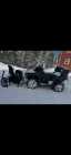48 inch Bercomac Snowblower  - Photo 1 of 6