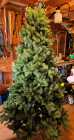 7' Christmas Tree in Excellent Condition - Photo 2 of 4