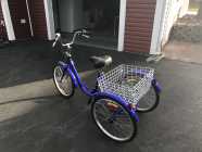 Adult Tricycle - Photo 1 of 4
