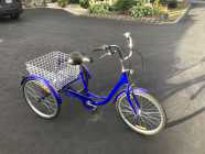 Adult Tricycle - Photo 2 of 4