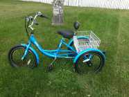 Adult Tricycle
