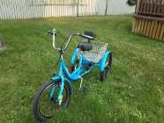 Adult Tricycle - Photo 1 of 3
