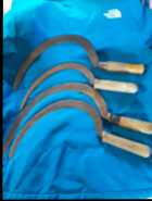 Antique Hand Tool Sickles with MAKERS MARKS 50 ea