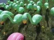 Approximately 300 Pink /Green Flamingos 