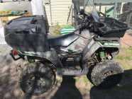 Arctic Cat