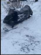 Arctic  Cat Pantera 3000 - Photo 2 of 5