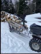 ATV Logging Trailer with Wireless Winch - Photo 6 of 7