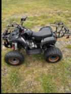 ATVs, Dirtbike & Trailer for Sale, Call for Info. - Photo 4 of 10