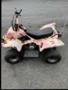ATVs, Dirtbike & Trailer for Sale, Call for Info. - Photo 6 of 10