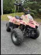 ATVs, Dirtbike & Trailer for Sale, Call for Info. - Photo 7 of 10