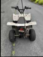 ATVs, Dirtbike & Trailer for Sale, Call for Info. - Photo 8 of 10