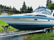 Bayliner boat for sale