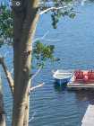 Beautiful Little 12 foot fibreglass boat