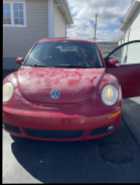 To VW Beetle Lovers - Photo 7 of 10