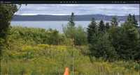 Bell Island Land for sale. Gorgeous Ocean view. - Photo 1 of 10