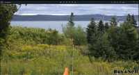 Bell Island Land for Sale or Trade/Barter - Photo 4 of 10