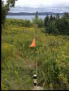 Bell Island Land for Sale or Trade/Barter - Photo 6 of 10