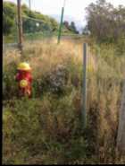 Bell Island Land for Sale or Trade/Barter - Photo 7 of 10
