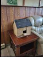 Bird House