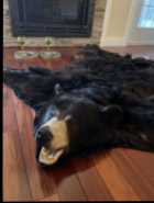 Black Bear Rug - Photo 1 of 4