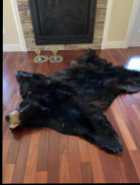 Black Bear Rug - Photo 2 of 4