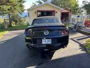 2013 GT mustang convertible automatic - Photo 1 of 6