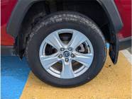 2019 Toyota RAV4 XLE 4dr All-Wheel Drive  - Photo 6 of 19