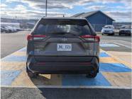 2020 Toyota RAV4 XLE 4dr All-Wheel Drive  - Photo 4 of 19